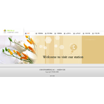 企业网站模版B550